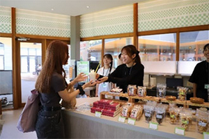 SAモデル補助画像2